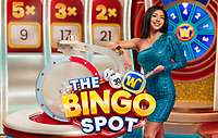 The Bingo Spot